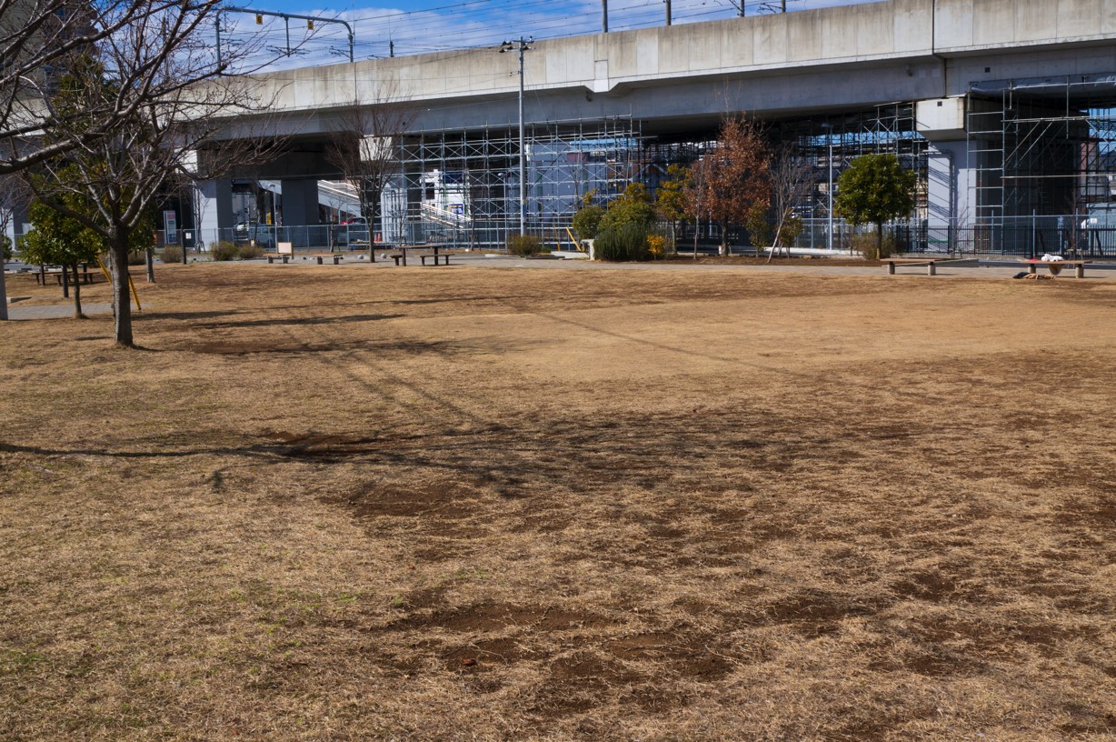 公園からいくつの遊び方が生まれたのか。