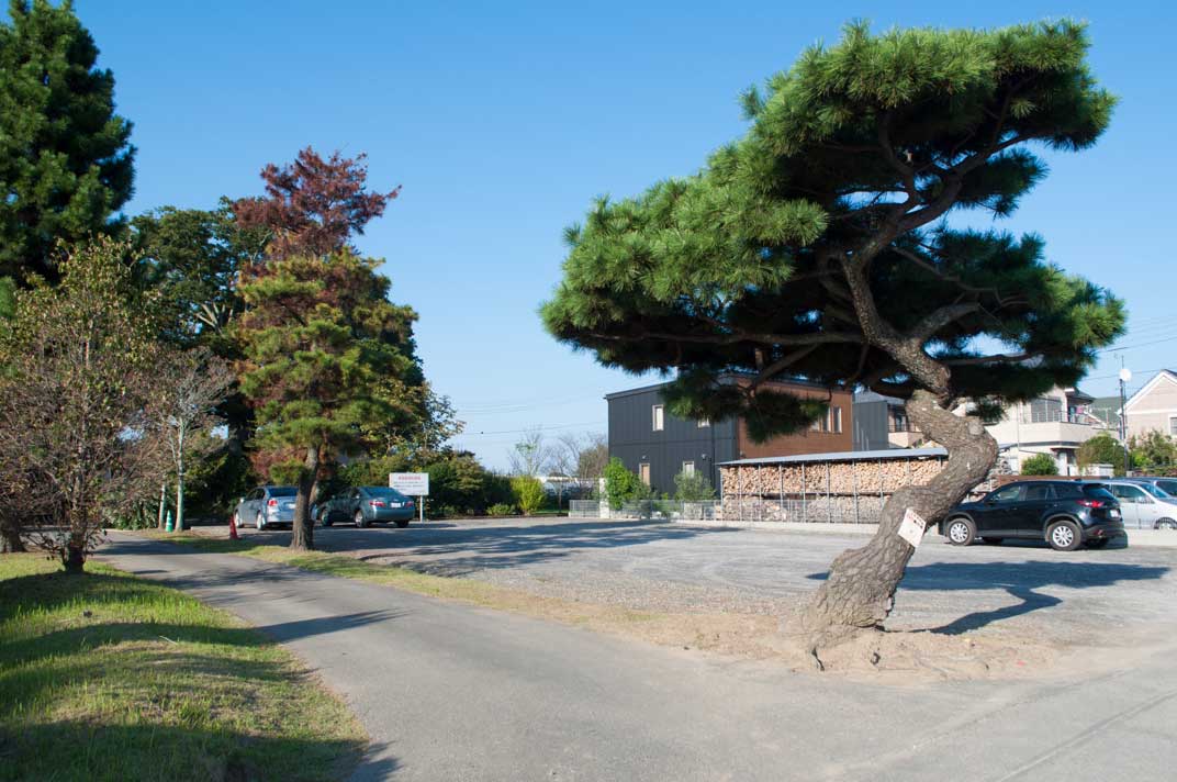 秋の散歩道　2015　取手七福神巡り　布袋尊編　(普門院)