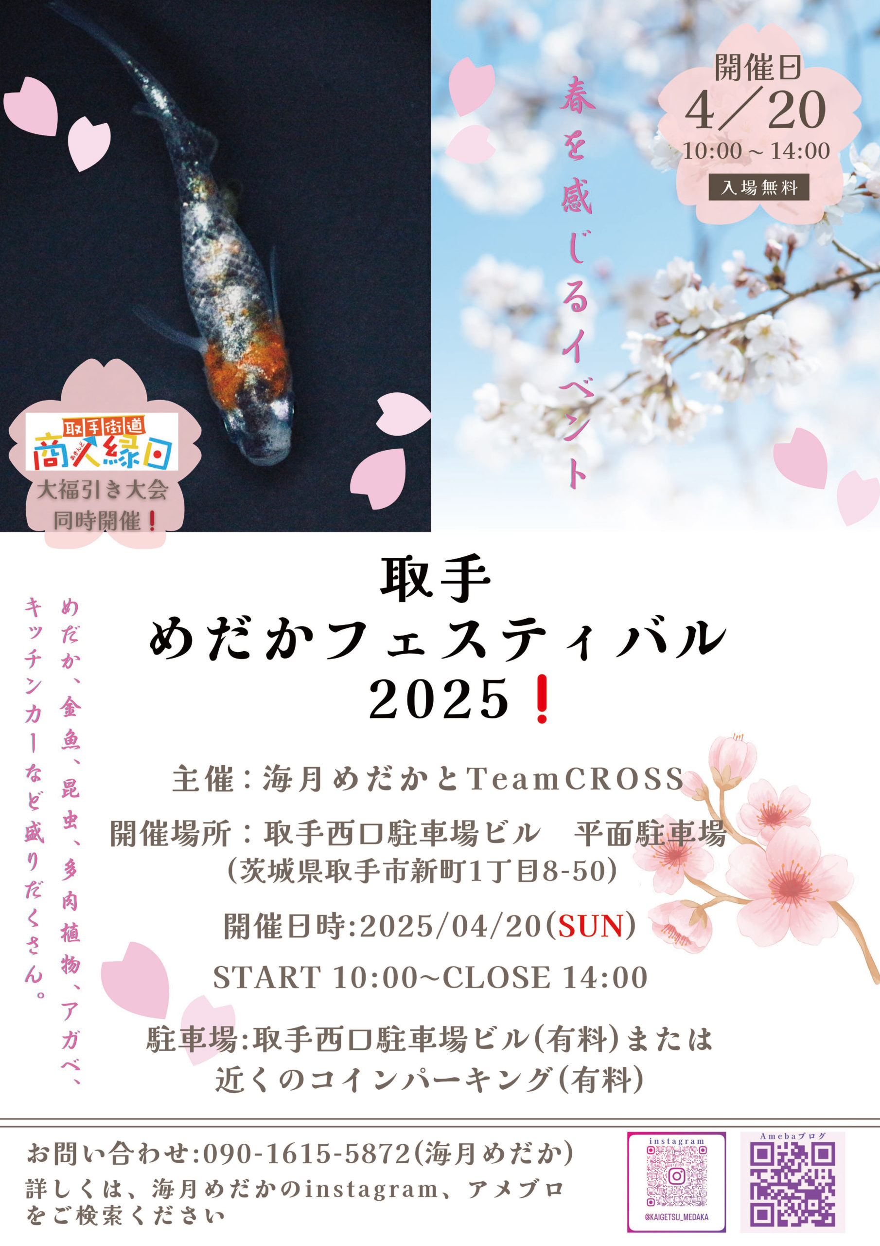 楽しみその③　取手めだかフェスティバル2025同時開催