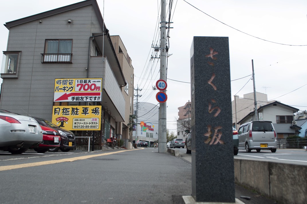 実際には3本の桜の木があります。