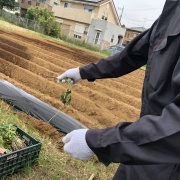 植えていきます！