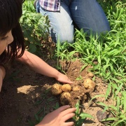 子ども達と一緒に土に触ろう